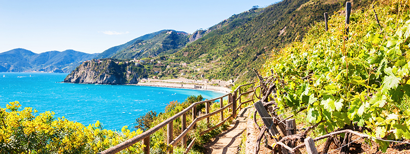 Den bl stigen mellan de fem byarna i Cinque Terre, Italien.